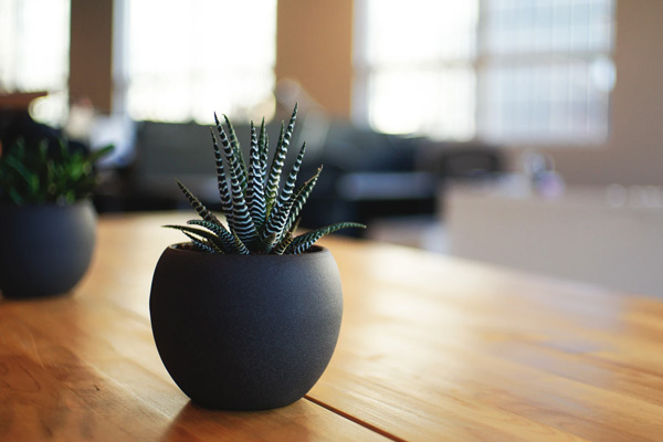 經(jīng)濟(jì)版與豪華版方案對(duì)比